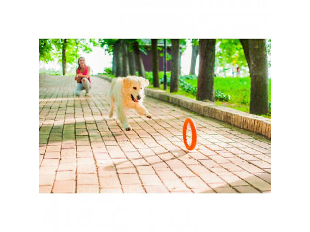 Іграшка для собак Collar PitchDog Кільце для апортирування 17 см помаранчеве (62364) - Фото 6