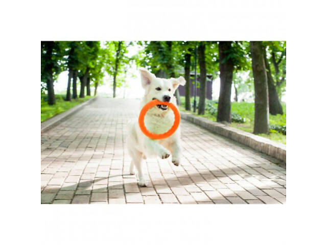 Іграшка для собак Collar PitchDog Кільце для апортирування 17 см помаранчеве (62364) - Фото 7