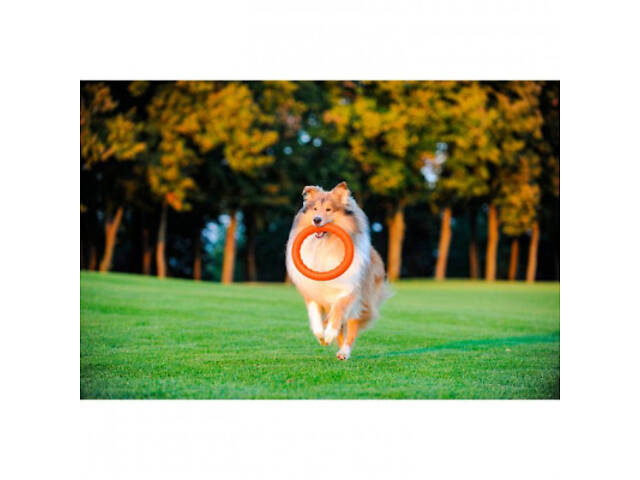 Іграшка для собак Collar PitchDog Кільце для апортирування 17 см помаранчеве (62364) - Фото 8