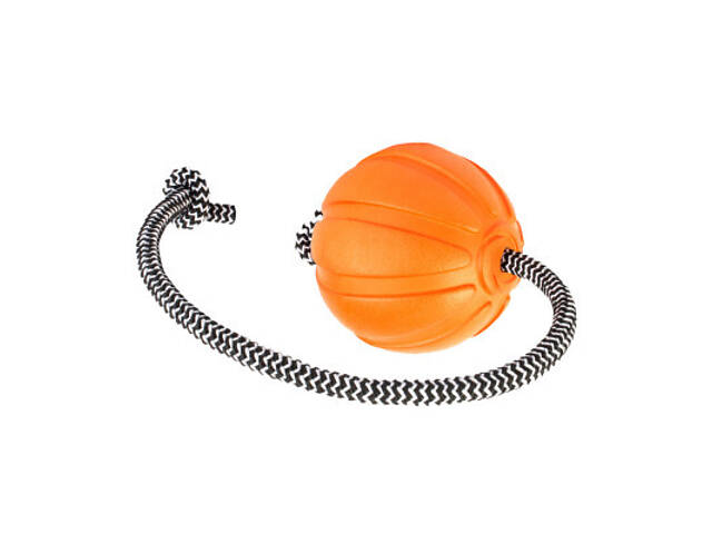 Іграшка для собак Liker Cord М'ячик з мотузкою 9 см (6297) - Фото 1