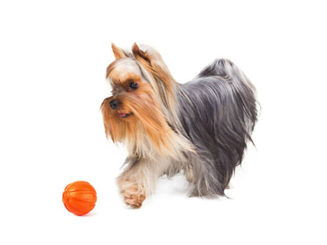 Іграшка для собак Liker М'ячик 9 см (6295) - Фото 2