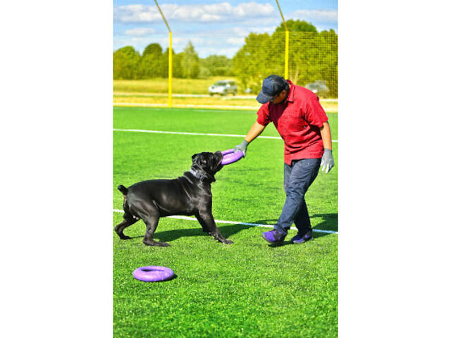 Іграшка для собак Puller Maxi 30 см (6492) - Фото 4