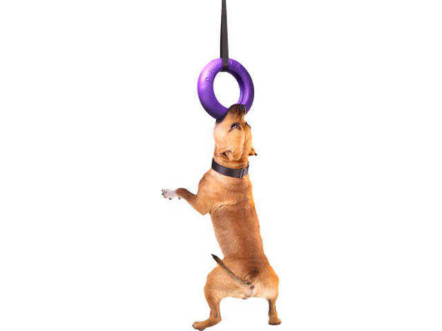 Іграшка для собак Puller Maxi 30 см (6492) - Фото 7