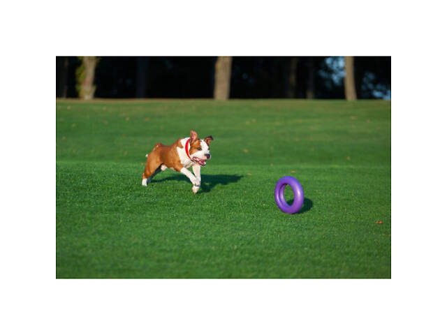 Іграшка для собак Puller Maxi 30 см (6492) - Фото 8