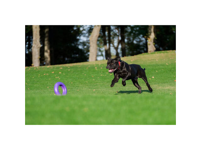 Іграшка для собак Puller Maxi 30 см (6492) - Фото 10