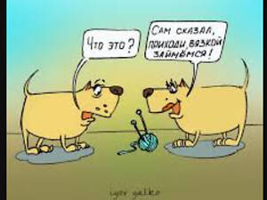 Инструктор по вязке собак/Інструктор по в'язці собак