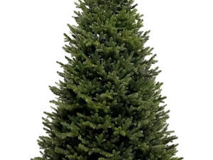 Искусственная пушистая литая елка Лесная сказка люкс на шарнирах (высота 2.20м) Зеленая