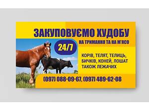 Закупивля ВРХ дуже дорого беремо все