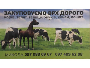 Закуповуэмо худоби