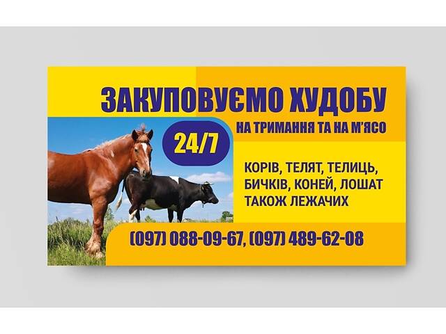 Закуповуэмо худобу - Фото 1