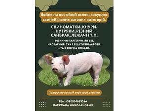 Закуповуємо по всій Україні