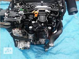 Детали двигателя Блок двигуна Fiat Scudo Объём: 1.6, 1.9, 2.0