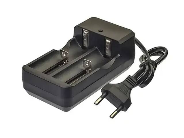 Зарядний пристрій на 2 акумулятори - Фото 1