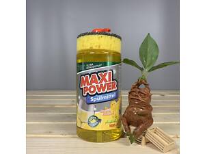 Засіб для миття посуду Maxi Power Лимон з губкою, 1 л