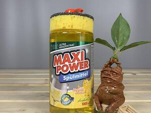 Средство для мытья посуды Maxi Power Лимон с губкой, 1 л