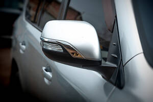 Зеркала в сборе Executive (1 шт) Белое для Toyota Land Cruiser 200