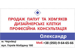 Канарки, Амадини, Декоративні голуби