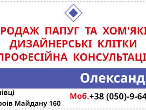 Канарки, Амадини, Декоративні голуби