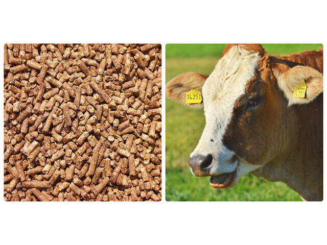 Кормовая гранула, комбикорм для коров, свиней - Фото 4