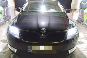 Зимові грати (верхні) Глянцеві для Skoda Rapid 2012-2024 рр.