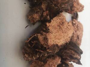 Золотий корінь Родіола Карпати 50г