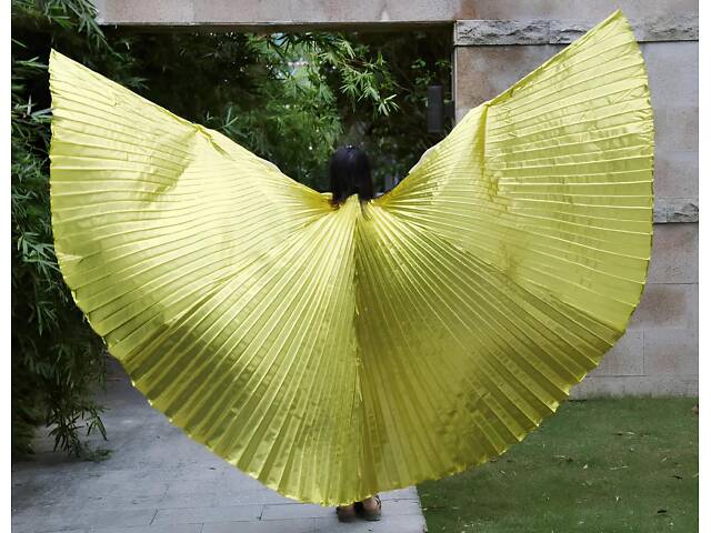 Золоті крила RESTEQ для шоу і танців - блискучі декоративні крила для вечірки, фотосесій і карнавалів - Фото 3