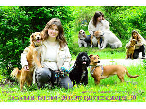 Зооготель / готель / перетримка / вигул для собак (тварини)