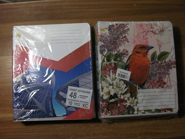 Зошит Шкільний, 48 Аркушів, Клітинка / Лінійка, Виробник 'Тетрада' - Упаковки по 10 Штук - НОВІ - Нерозпаковані - Фото 1