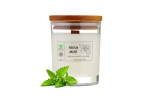 Аромасвечка Fresh mint L PURITY 150 г