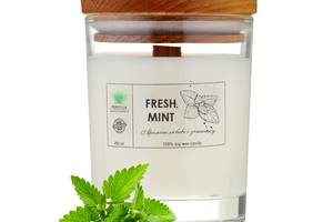 Аромасвечка Fresh mint L PURITY 150 г