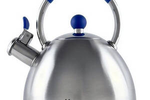 Чайник для плиты со свистком 2,5л MAGIO MG-1190 Steel/Blue N
