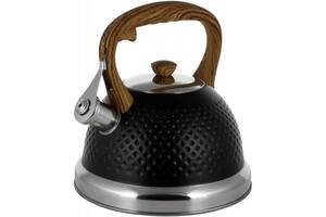 Чайник Kamille Whistling Kettle Black 2.7л нержавеющая сталь со свистком