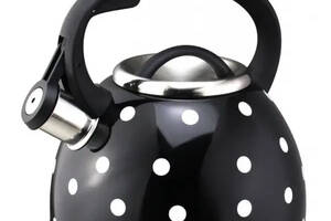 Чайник кухонный со свистком для всех типов плит Unique UN-5301 2.5 л Черный