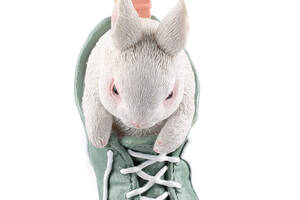 Декоративная фигурка Engard Кролик в ботинке 22х9х19 см (KG-24)
