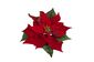 Декоративный цветок Flora Пуансетия 19 см Красный / Зеленый (75632)