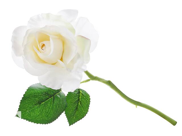 Декоративный цветок Роза LI100351 BonaDi 31см Белый