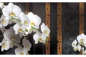 Флизелиновые фотообои в гостиную с камином 312x219 см 3Д Ветки белых орхидей на темном фоне (1295VEXXL)+клей