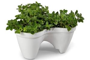 Горшок для цветов Keter 7.5 л IVY Planter