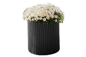 Горшок для цветов Keter Cylinder Planter Small 7 л серый