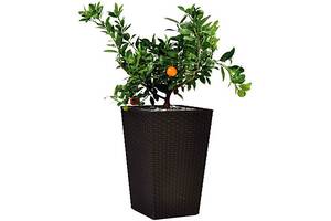 Горшок для цветов Keter Large Rattan Planter 145 л