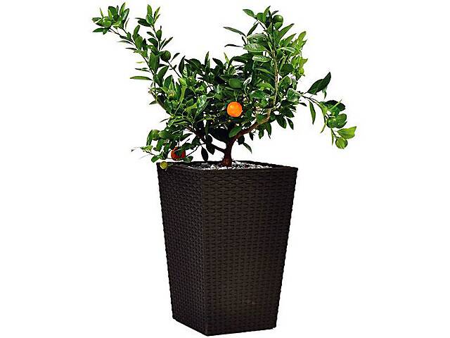 Горшок для цветов Keter Large Rattan Planter 145 л