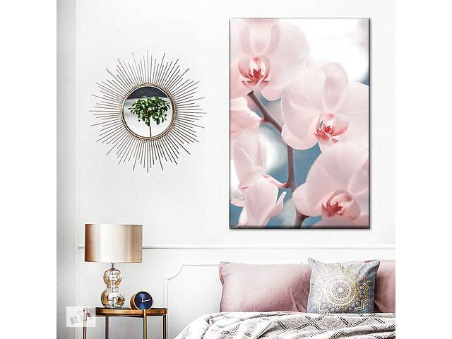 Картина Art Studio Shop Нежная орхидея 81x54 см (43)
