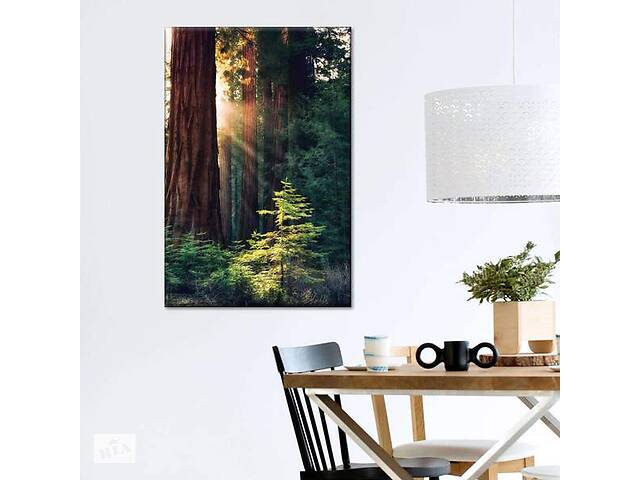 Картина Art Studio Shop Солнце в лесу 81x54 см (48)