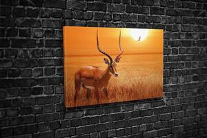 Картина KIL Art для интерьера в гостиную спальню Африканская антилопа 80x54 см (558