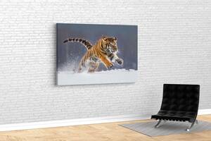 Картина KIL Art для интерьера в гостиную спальню Бегущий тигр 80x54 см (550)