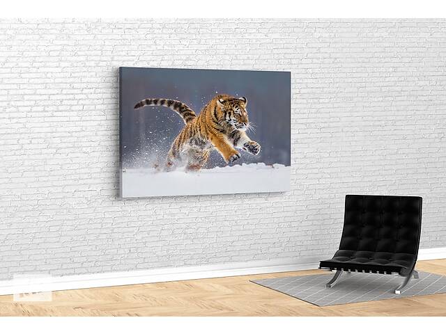 Картина KIL Art для интерьера в гостиную спальню Бегущий тигр 51x34 см (550)