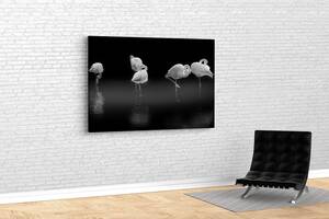 Картина KIL Art для интерьера в гостиную спальню Белые птицы 80x54 см (493)