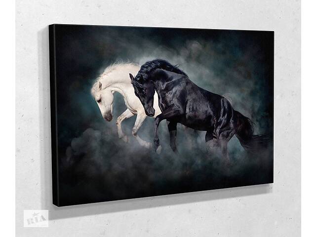 Картина KIL Art для интерьера в гостиную спальню Чёрная и белая лошади 80x54 см (411)