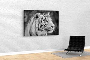Картина KIL Art для интерьера в гостиную спальню Чёрно-белый тигр 80x54 см (508