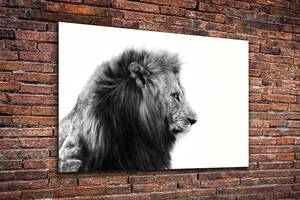 Картина KIL Art для интерьера в гостиную спальню Чёрно-белый лев 80x54 см (518